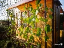 Пермакультурний дизайн створюємо стійку екосистему на ділянці пермакультурний