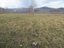 Першотравнева поїздка на Гадельшу - водоспад у всій красі, Біля багаття всій