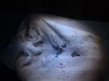 грубка