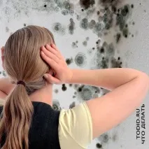 Цвіль на стінах цвілі