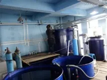 Поїздка до Китаю за рибоводним обладнанням, Рибніферми УЗВ рибоводним