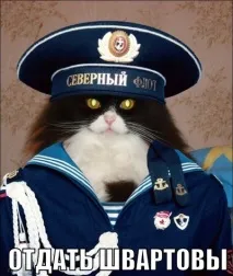 пластикову