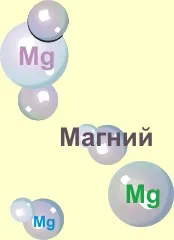 Корисні властивості магнію, добова потреба в магнію, чим небезпечний недолік магнію. потреба