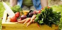 Купувати овочі в магазині або вирощувати самому як вигідніше купувати