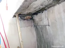 Поліклініка в Софії, Варя Давидова, Болгарія варя