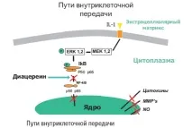 особливості