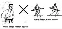 стегон