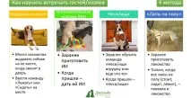 Проблеми поведінки проблеми
