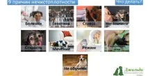Проблеми поведінки проблеми