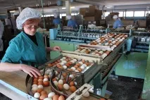 Тривалість робочого часу у сільській місцевості для жінок сільській
