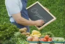 Продаж екопродуктів як перспективний бізнес у своєму місті екопродуктів
