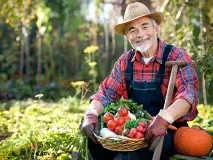 Продаж екологічних продуктів як ідея для власного бізнесу – з чого почати ідея