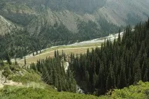 барскаун