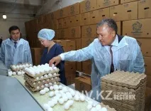 Птахофабрика «Курма» будує біогазову установку - Газета «Новий Вісник» біогазову
