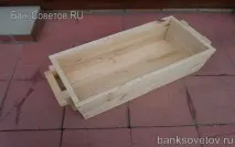 Розмноження туї живцями навесні розмноження
