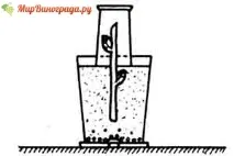 Розмноження винограду (черешками, відведеннями, насінням) розмноження
