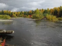 Річка Північна Тошемка тошемка