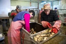 Репортаж із підприємства підприємства