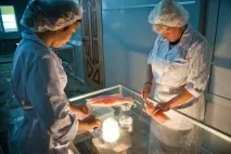 Репортаж із підприємства підприємства