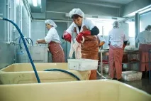 Репортаж із підприємства риби