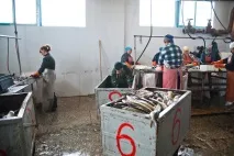 Репортаж із підприємства підприємства