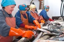 Репортаж із підприємства підприємства