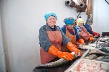 Репортаж із підприємства риби
