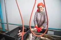 Репортаж із підприємства репортаж