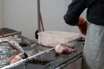 Репортаж із підприємства підприємства