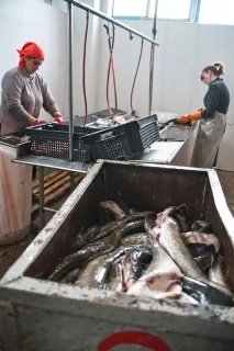 Репортаж із підприємства підприємства