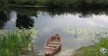 сулі