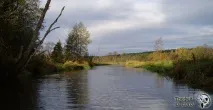 сулі