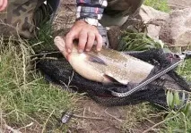 Риболовля на ляща в річках з плином ляща