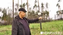 українські німці у роки війни українські