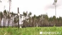 українські німці у роки війни німців