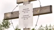 українські німці у роки війни німців
