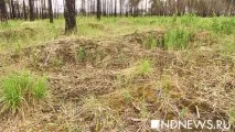 українські німці у роки війни роки