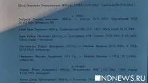 українські німці у роки війни німці