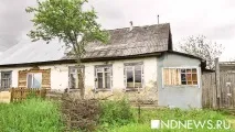 українські німці у роки війни німці