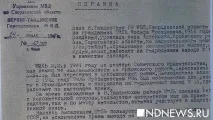 українські німці у роки війни війни