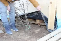 рівняємо