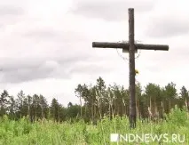 українські німці у роки війни роки