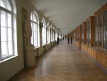 Санкт-Петербурзький державний університет (СПбДУ) - опис закладу, фото, адреса, час спбду