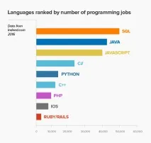 Найпопулярніші мови програмування у 2016 році, Стаття стаття