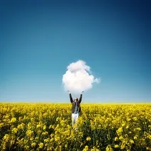 З Днем Народження, Шине! днем