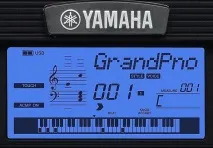 yamaha