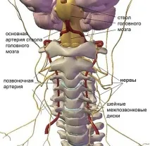 Симптоми остеохондрозу шиї остеохондрозу