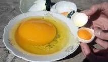 коштує