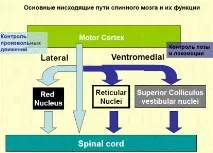 вещество