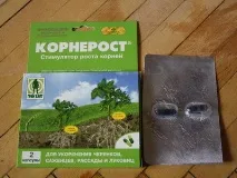 росту